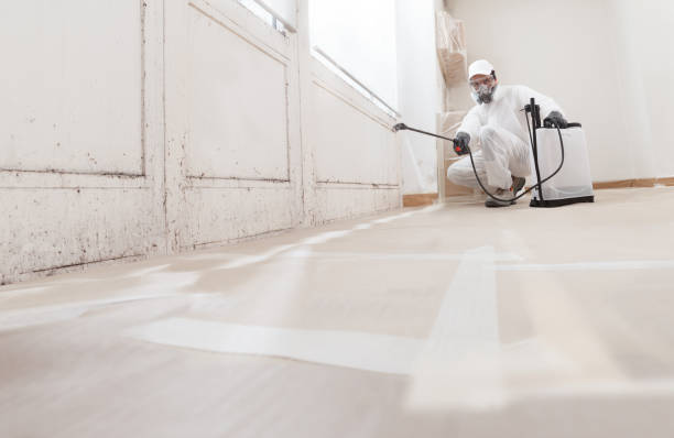24/7 Emergency Mold Remediation experts in Westminster, TX