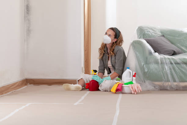 Reliable Mold Remediation contractor in Westminster, TX by 24 Hour Mold Removal